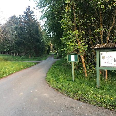 Big Ben'S Guesthouse Müllenbach Екстериор снимка